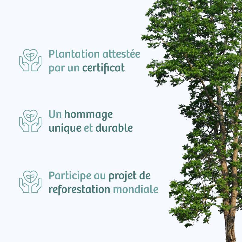 Planter un arbre en hommage à M. Philippe FAETIBOLT